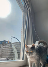 Afbeelding in Gallery-weergave laden, The CattNett for windows in tilted position