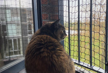 Afbeelding in Gallery-weergave laden, The CattNett for fully opened windows